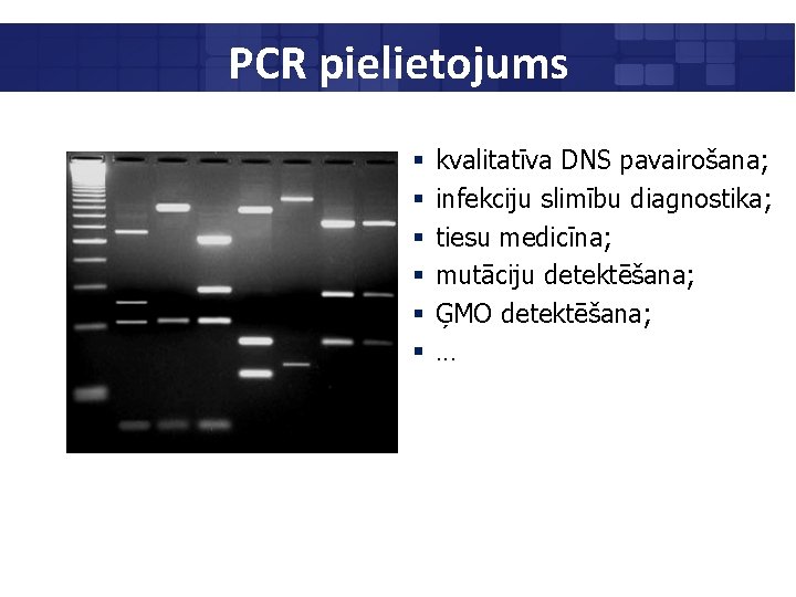 PCR pielietojums § § § kvalitatīva DNS pavairošana; infekciju slimību diagnostika; tiesu medicīna; mutāciju