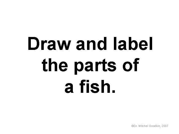 Draw and label the parts of a fish. ©Dr. Mitchel Goodkin, 2007 
