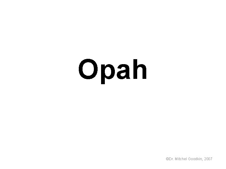 Opah ©Dr. Mitchel Goodkin, 2007 