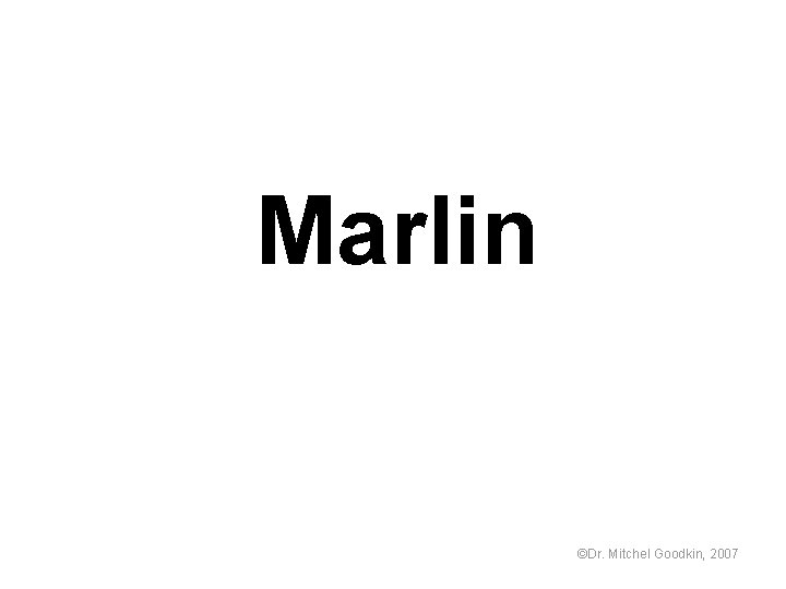 Marlin ©Dr. Mitchel Goodkin, 2007 