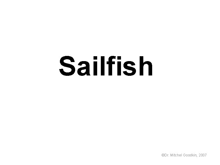 Sailfish ©Dr. Mitchel Goodkin, 2007 