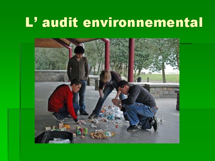 L’ audit environnemental 