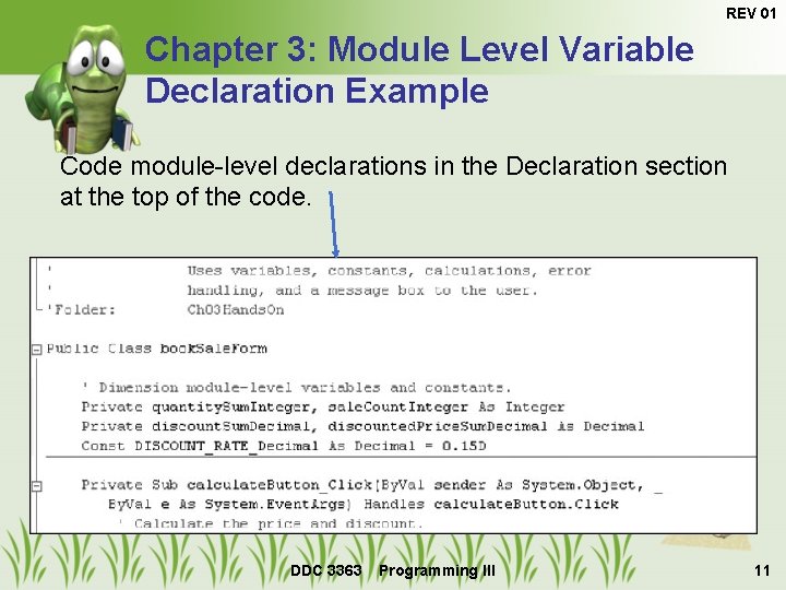 REV 01 Chapter 3: Module Level Variable Declaration Example Code module-level declarations in the