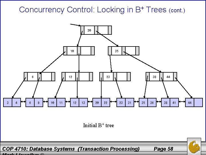 Concurrency Control: Locking in B+ Trees (cont. ) 20 10 6 3 4 6