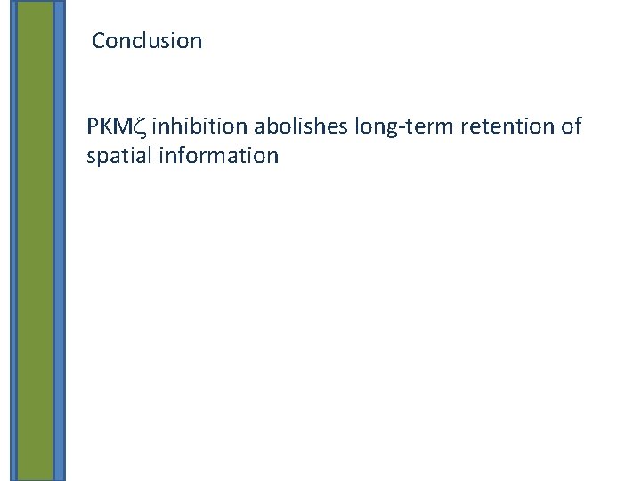 Conclusion PKMz inhibition abolishes long-term retention of spatial information 