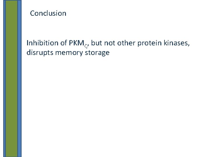 Conclusion Inhibition of PKMz, but not other protein kinases, disrupts memory storage 