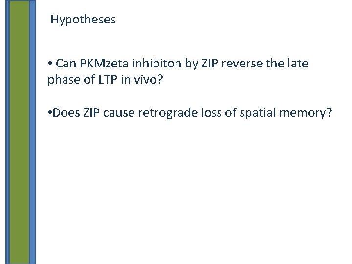 Hypotheses • Can PKMzeta inhibiton by ZIP reverse the late phase of LTP in