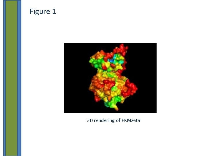 Figure 1 3 D rendering of PKMzeta 