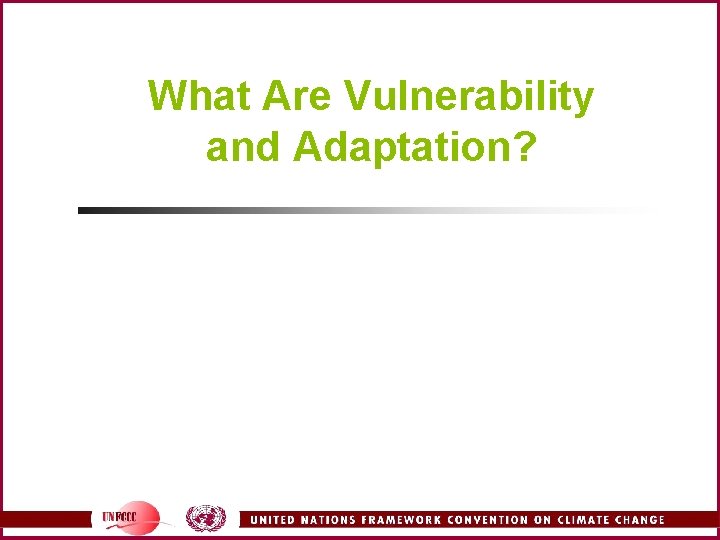 What Are Vulnerability and Adaptation? 