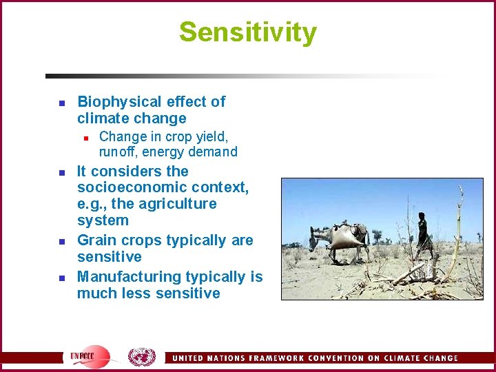 Sensitivity n Biophysical effect of climate change n n Change in crop yield, runoff,