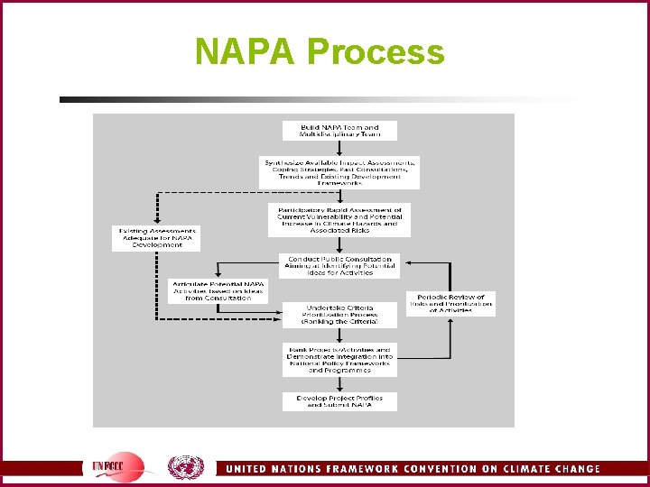 NAPA Process 