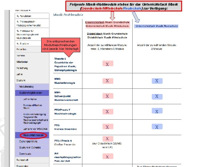 Folgende Musik-Wahlmodule stehen für das Unterrichtsfach Musik (Grundschule/Mittelschule/Realschule) zur Verfügung: Univ. -Prof. Dr. Daniel