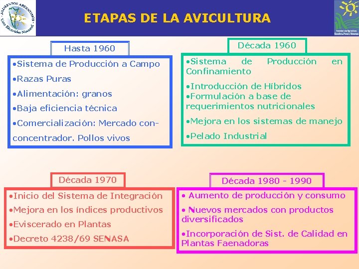 ETAPAS DE LA AVICULTURA Hasta 1960 • Sistema de Producción a Campo • Razas