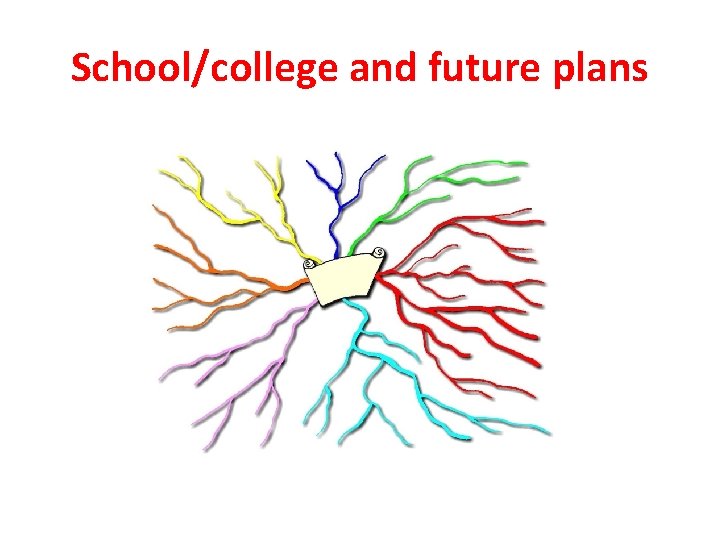 School/college and future plans 