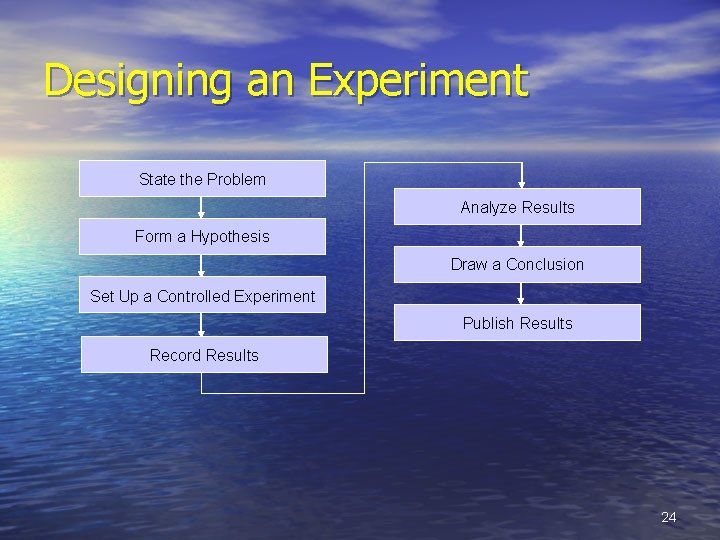 Designing an Experiment State the Problem Analyze Results Form a Hypothesis Draw a Conclusion