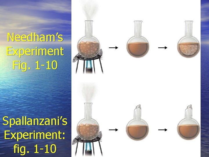 Needham’s Experiment Fig. 1 -10 Spallanzani’s Experiment: fig. 1 -10 26 