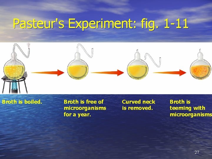 Pasteur's Experiment: fig. 1 -11 Broth is boiled. Broth is free of microorganisms for