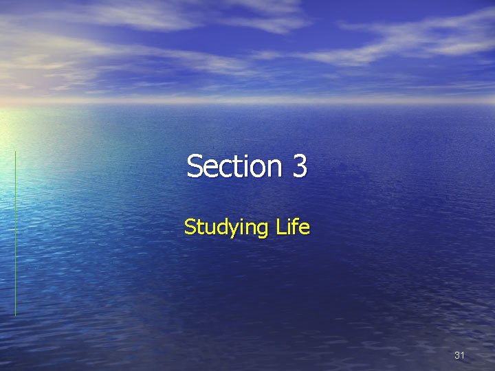 Section 3 Studying Life 31 