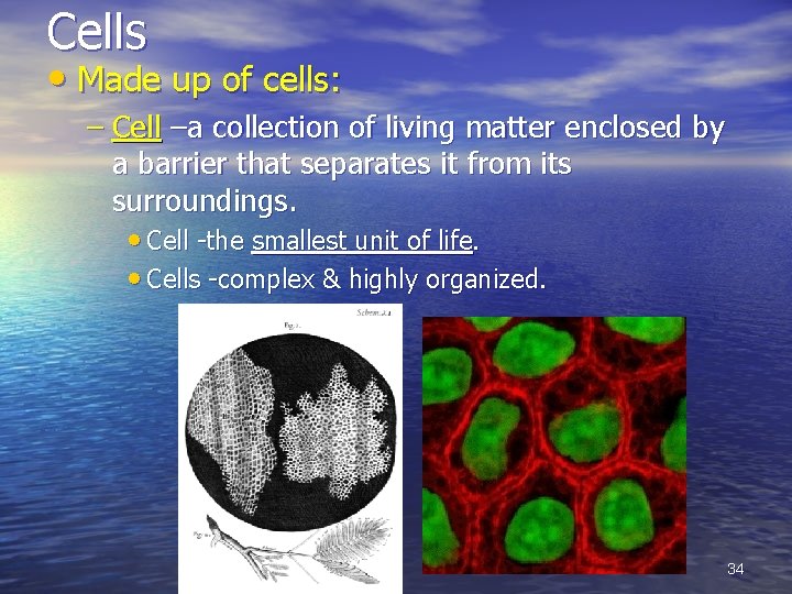 Cells • Made up of cells: – Cell –a collection of living matter enclosed
