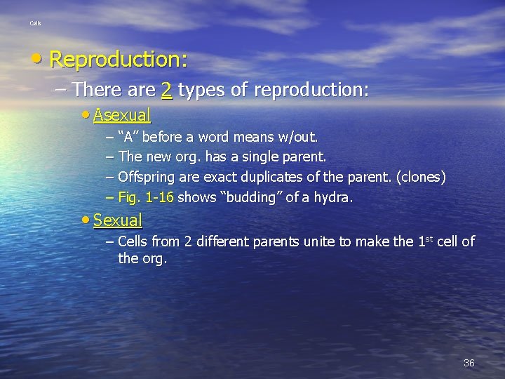 Cells • Reproduction: – There are 2 types of reproduction: • Asexual – “A”