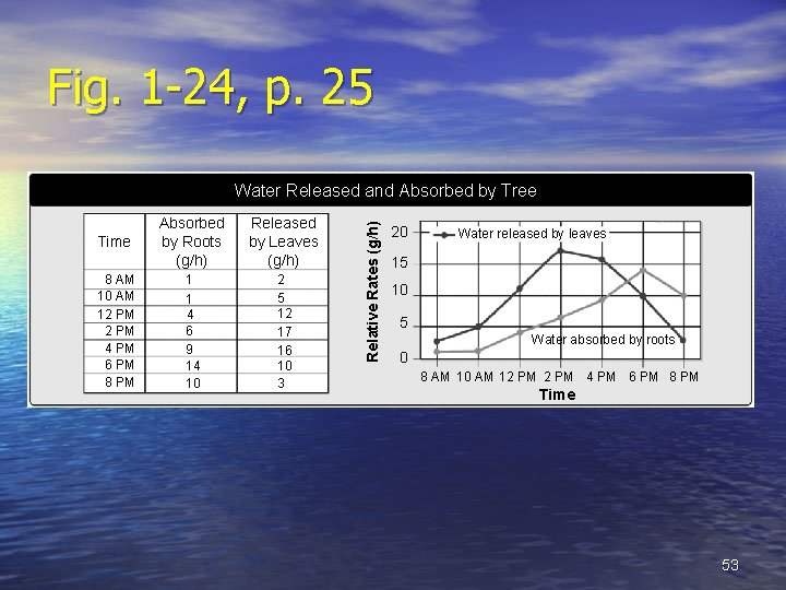 Fig. 1 -24, p. 25 Time Absorbed by Roots (g/h) Released by Leaves (g/h)
