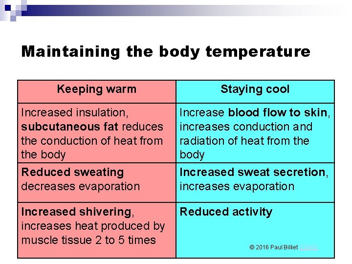 Maintaining the body temperature Keeping warm Staying cool Increased insulation, subcutaneous fat reduces the