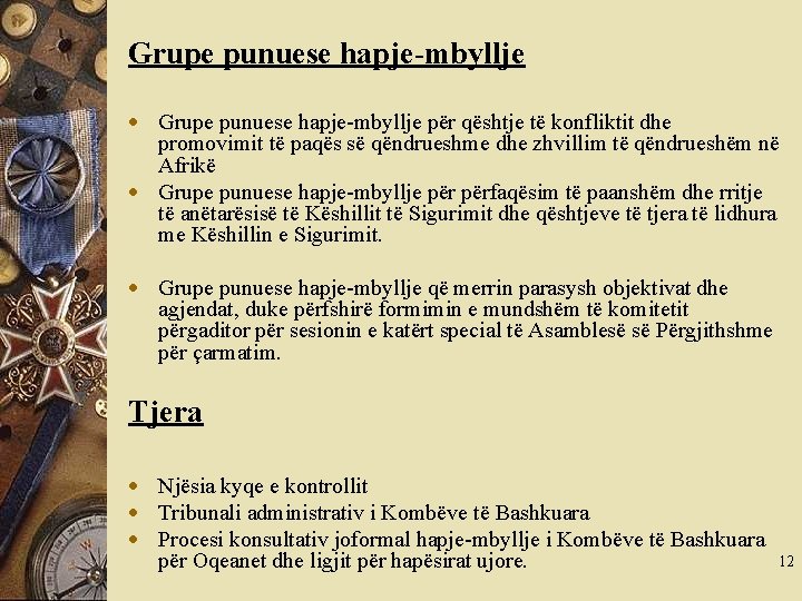 Grupe punuese hapje-mbyllje për qështje të konfliktit dhe promovimit të paqës së qëndrueshme dhe