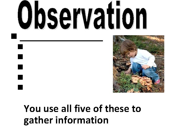 n _________ n n n You use all five of these to gather information