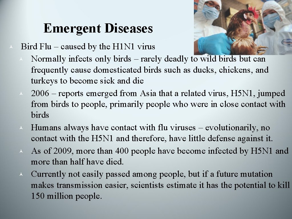 Emergent Diseases © Bird Flu – caused by the H 1 N 1 virus