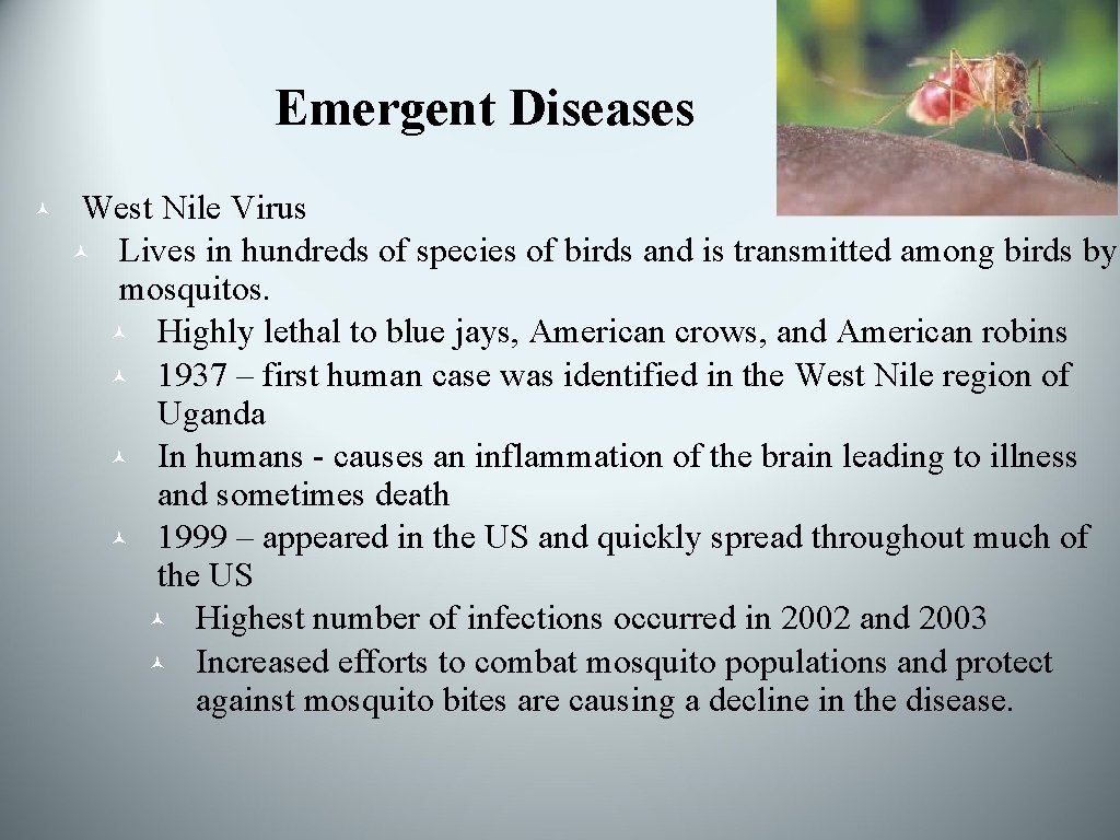 Emergent Diseases © West Nile Virus © Lives in hundreds of species of birds