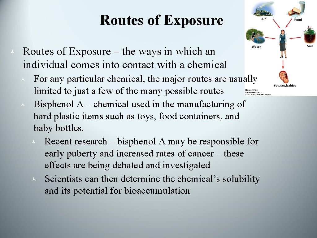 Routes of Exposure © Routes of Exposure – the ways in which an individual