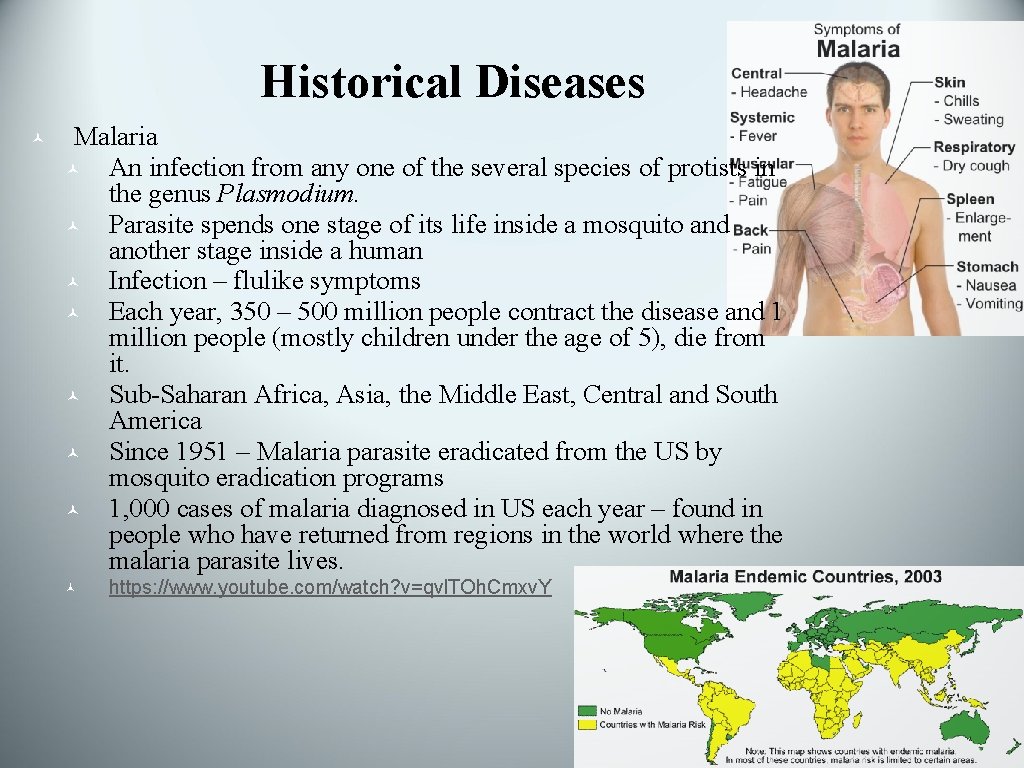 Historical Diseases © Malaria © An infection from any one of the several species