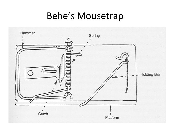 Behe’s Mousetrap 