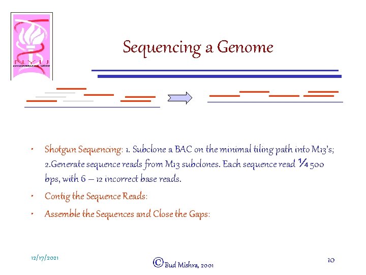 Sequencing a Genome • Shotgun Sequencing: 1. Subclone a BAC on the minimal tiling