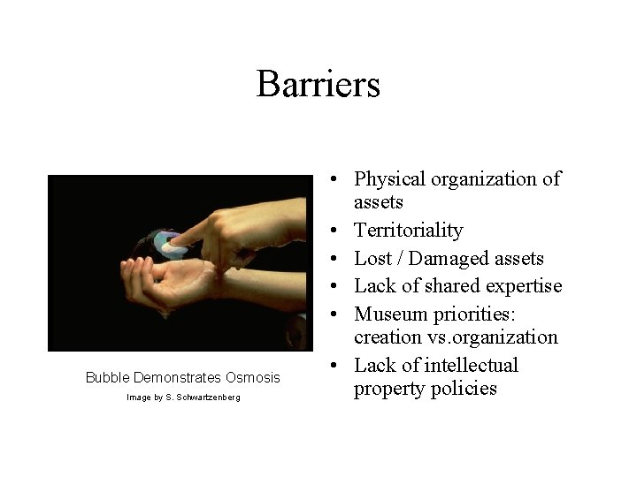 Barriers Bubble Demonstrates Osmosis Image by S. Schwartzenberg • Physical organization of assets •