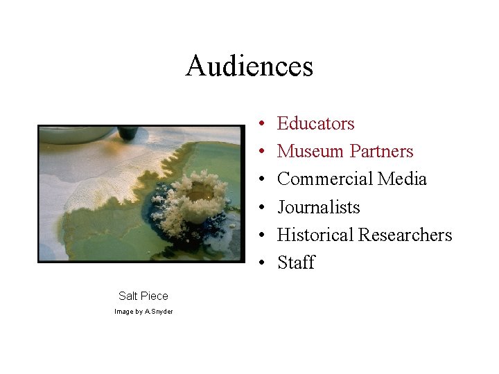 Audiences • • • Salt Piece Image by A. Snyder Educators Museum Partners Commercial