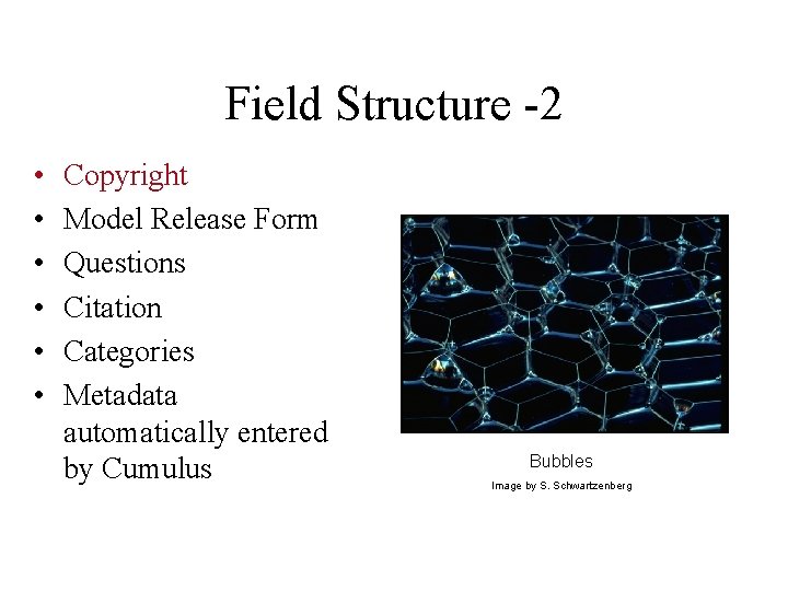 Field Structure -2 • • • Copyright Model Release Form Questions Citation Categories Metadata