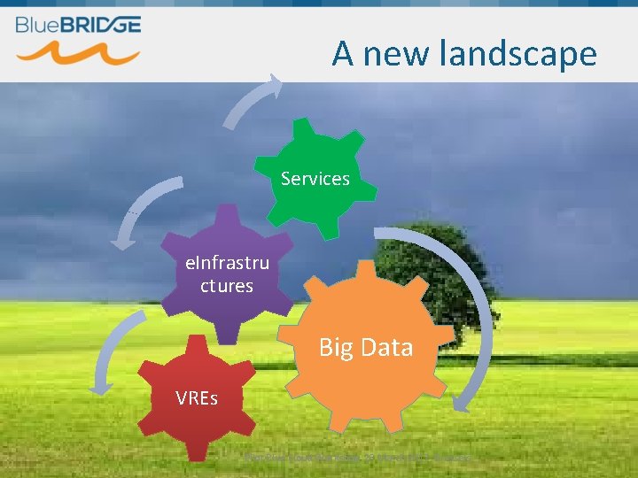 A new landscape Services e. Infrastru ctures Big Data VREs Pilot Blue Cloud Workshop,