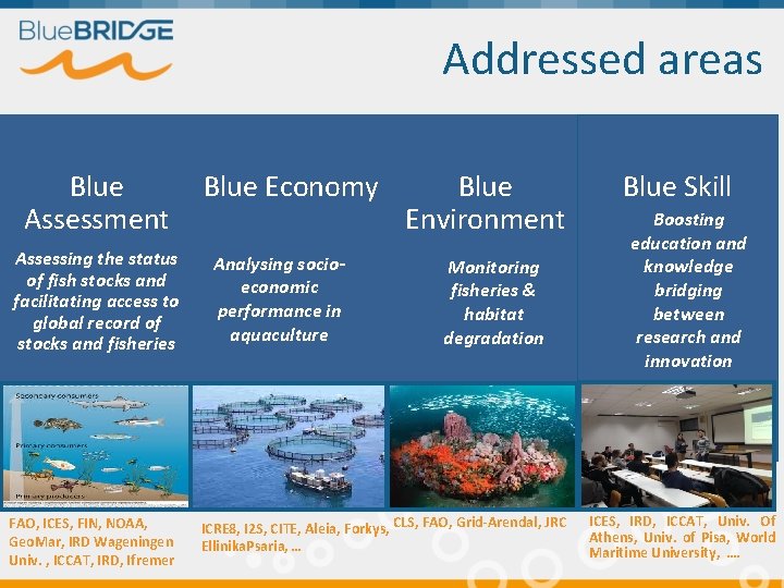 Addressed areas Blue Assessment Assessing the status of fish stocks and facilitating access to