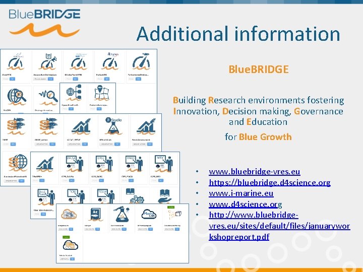 Additional information Blue. BRIDGE Building Research environments fostering Innovation, Decision making, Governance and Education