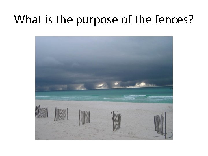 What is the purpose of the fences? 