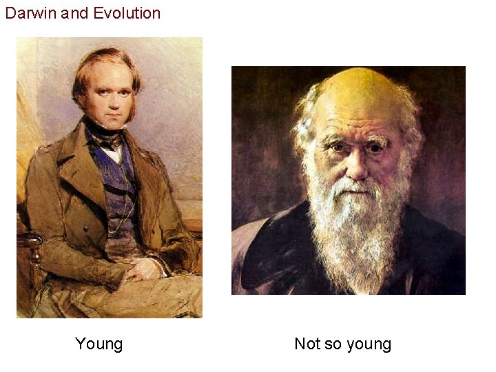 Darwin and Evolution Young Not so young 