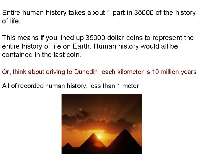 Entire human history takes about 1 part in 35000 of the history of life.