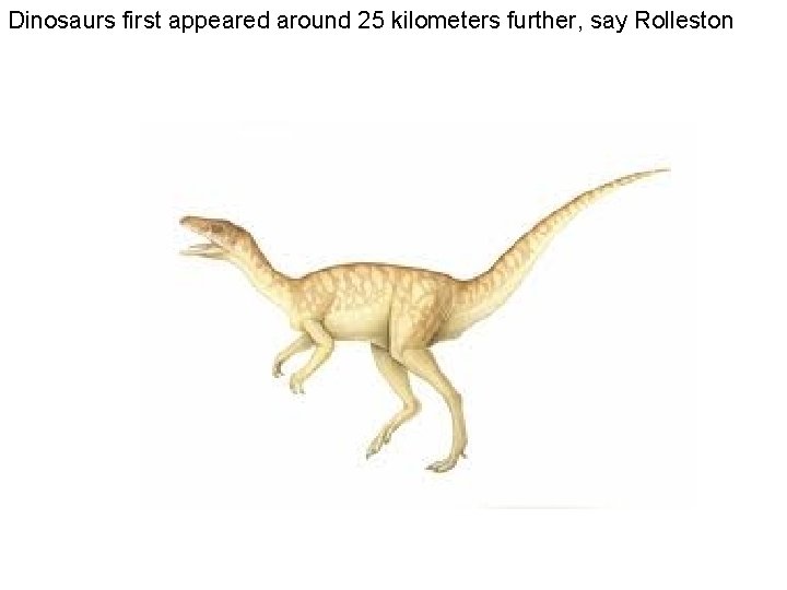 Dinosaurs first appeared around 25 kilometers further, say Rolleston 