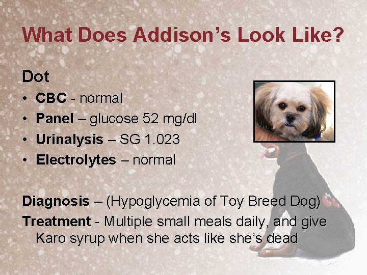 What Does Addison’s Look Like? Dot • • CBC - normal Panel – glucose