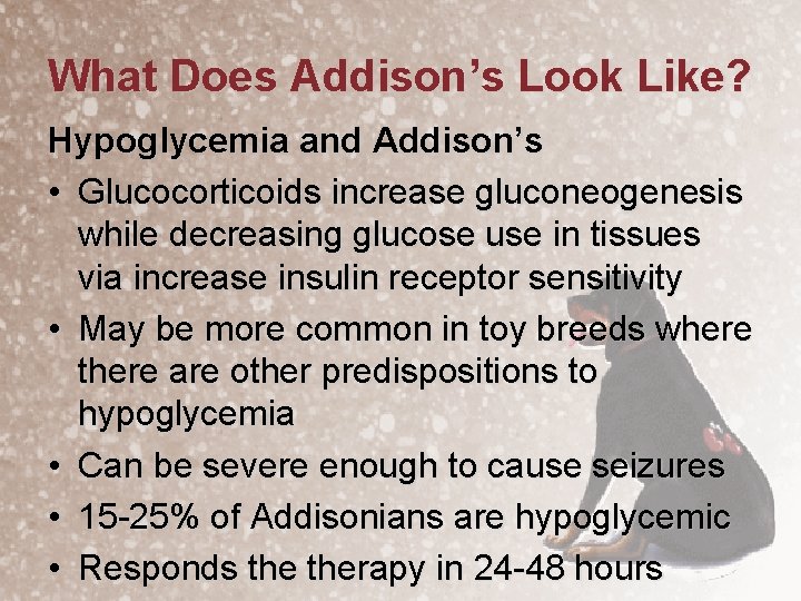 What Does Addison’s Look Like? Hypoglycemia and Addison’s • Glucocorticoids increase gluconeogenesis while decreasing