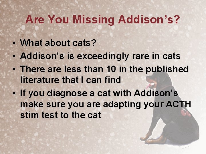 Are You Missing Addison’s? • • • What about cats? Addison’s is exceedingly rare