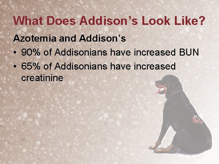 What Does Addison’s Look Like? Azotemia and Addison’s • 90% of Addisonians have increased