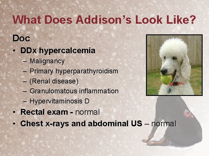 What Does Addison’s Look Like? Doc • DDx hypercalcemia – – – Malignancy Primary