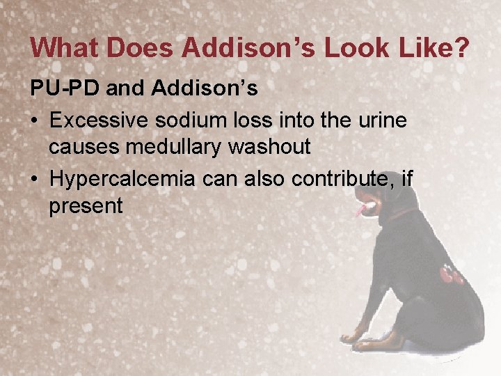 What Does Addison’s Look Like? PU-PD and Addison’s • Excessive sodium loss into the